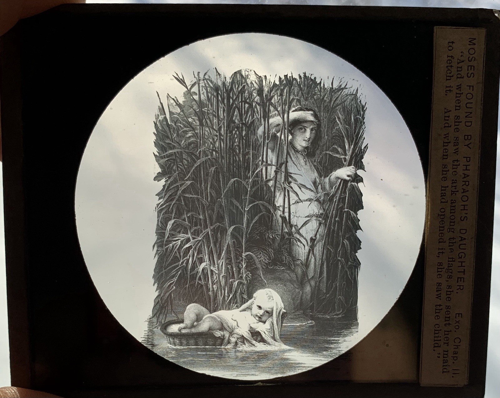 Antique T.H. McAllister Biblical Magic Lantern Slide Moses Pharaoh 1880s