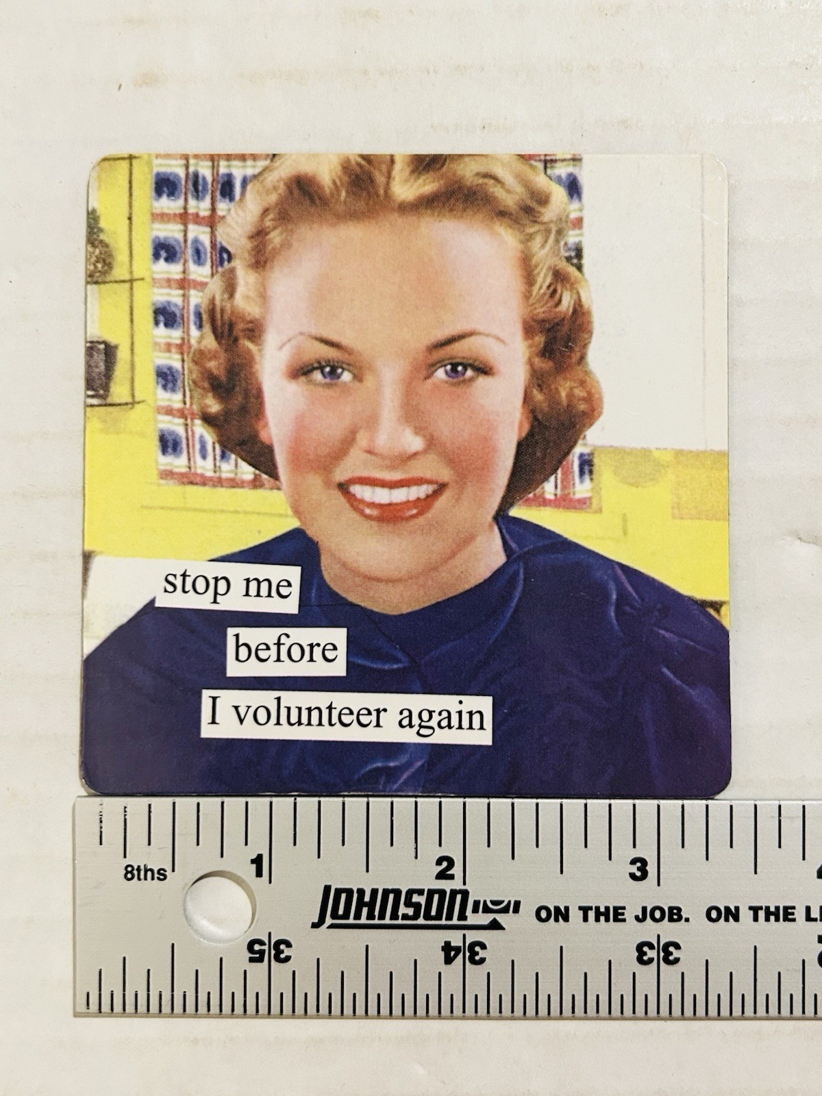 Anne Taintor Refrigerator Magnet Collection (8) Sassy Witty Funny Phrase Fridge