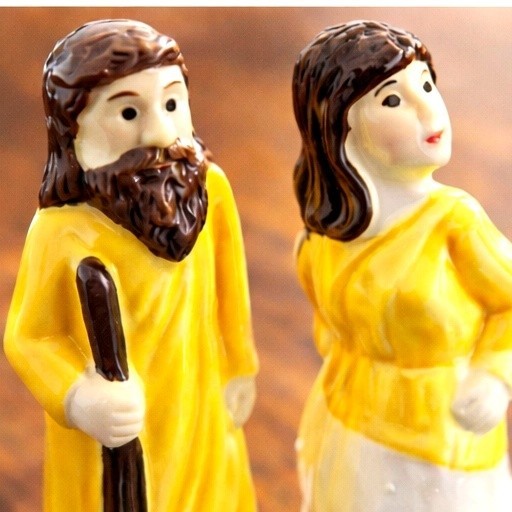 Lot’s Wife Salt and Pepper Shakers