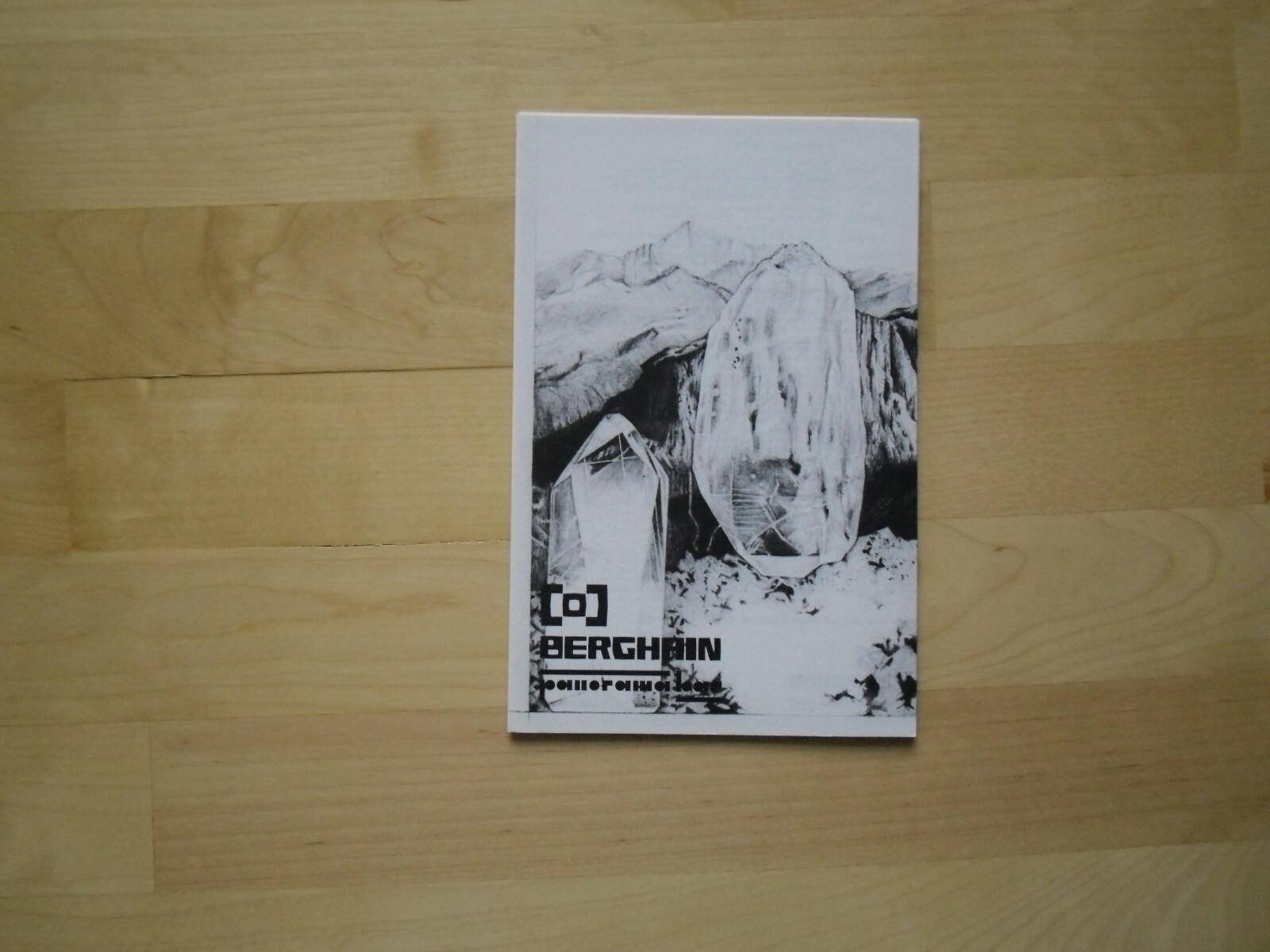 Berghain Flyer February 2014 _ Berlin _ Techno _ Art _ Music 02/2014