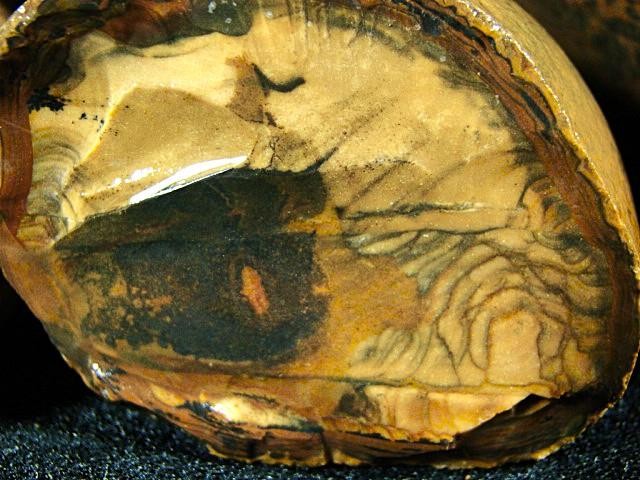 Royal Sahara Jasper® 4 Pc. Rough Nodules 2 Lb. 2 oz.~ # 6