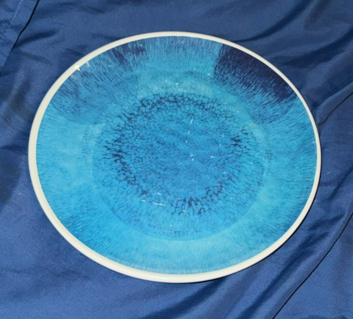 CONTEMPORARY RESORT Original Disney Cast Member Prop ~ Chef Mickey Dinner Plate