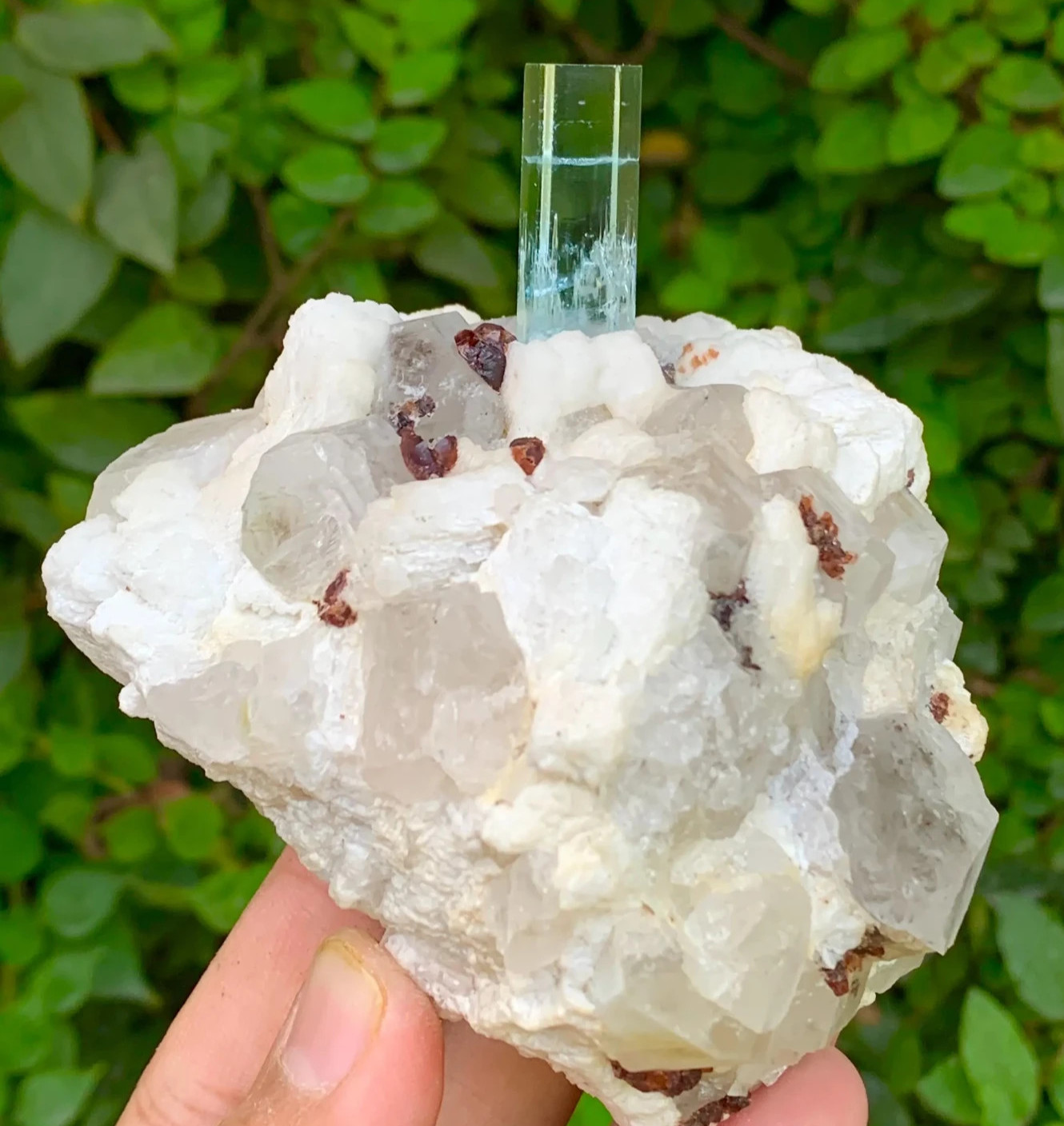 520 Gram Sky Blue Aquamarine With Spessartine Garnet & Quartz From Shigar Mine S