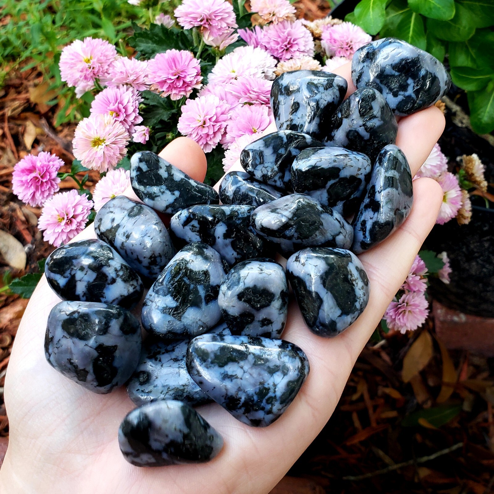 Mystic Merlinite Indigo Gabbro natural tumbled Crystal Healing Gemstones 2pc set