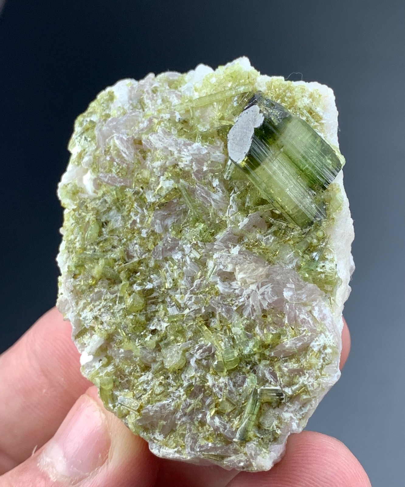 Tourmaline Crystal Specimen From Pakistan 350 Carat