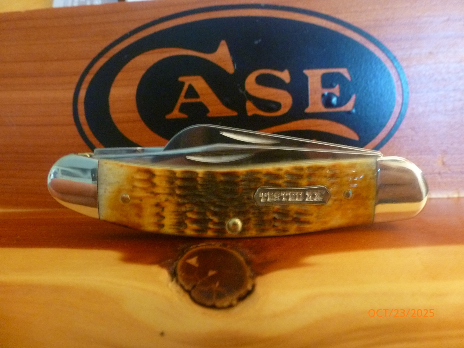 Case XX #51393 Burnt Amber Rogers Jig Bone 3-Blade Sowbelly TB6339CS New In Box