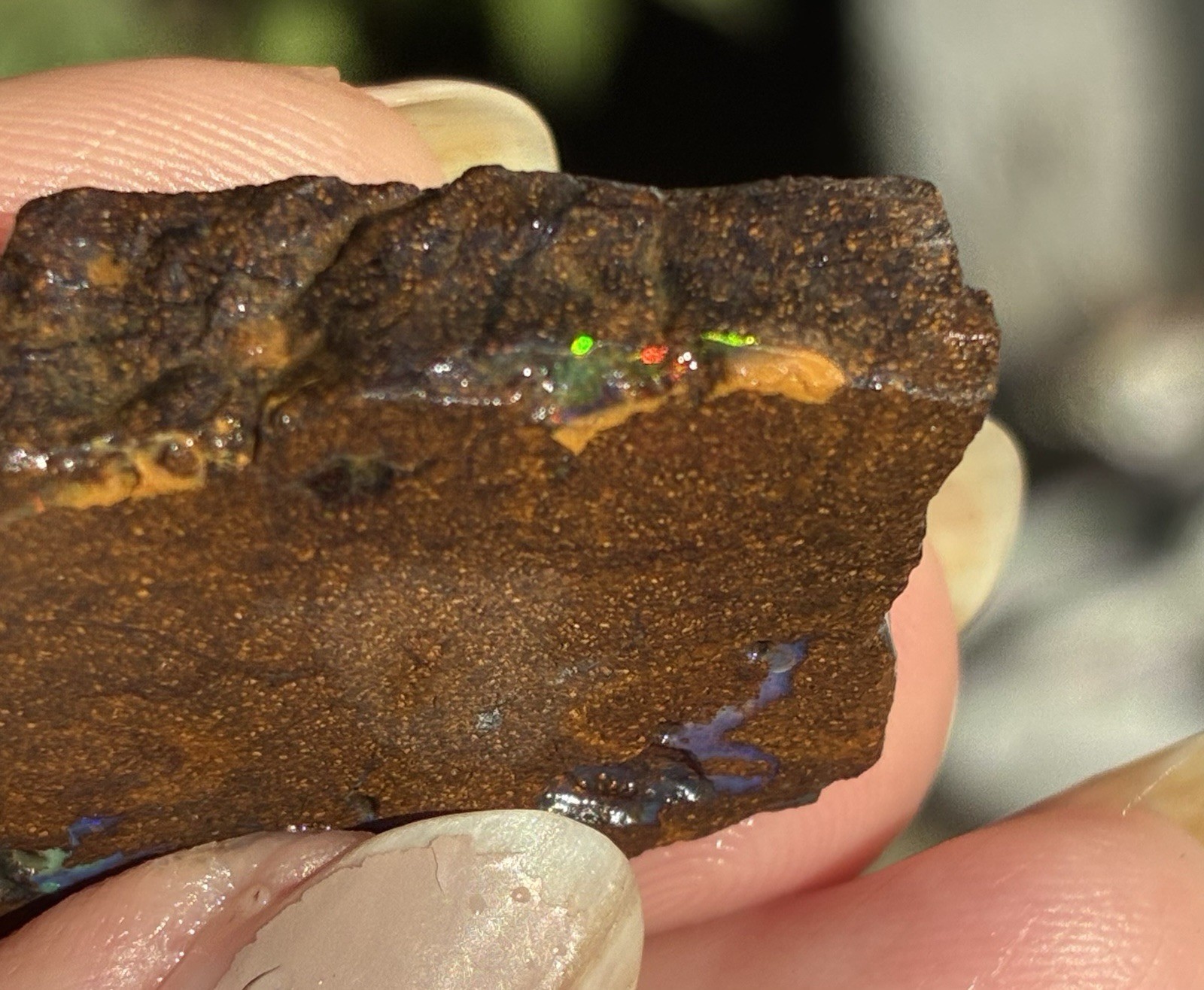 Pretty 47ct Australian Boulder Opal Rough Loose Multicolor Specimen PP