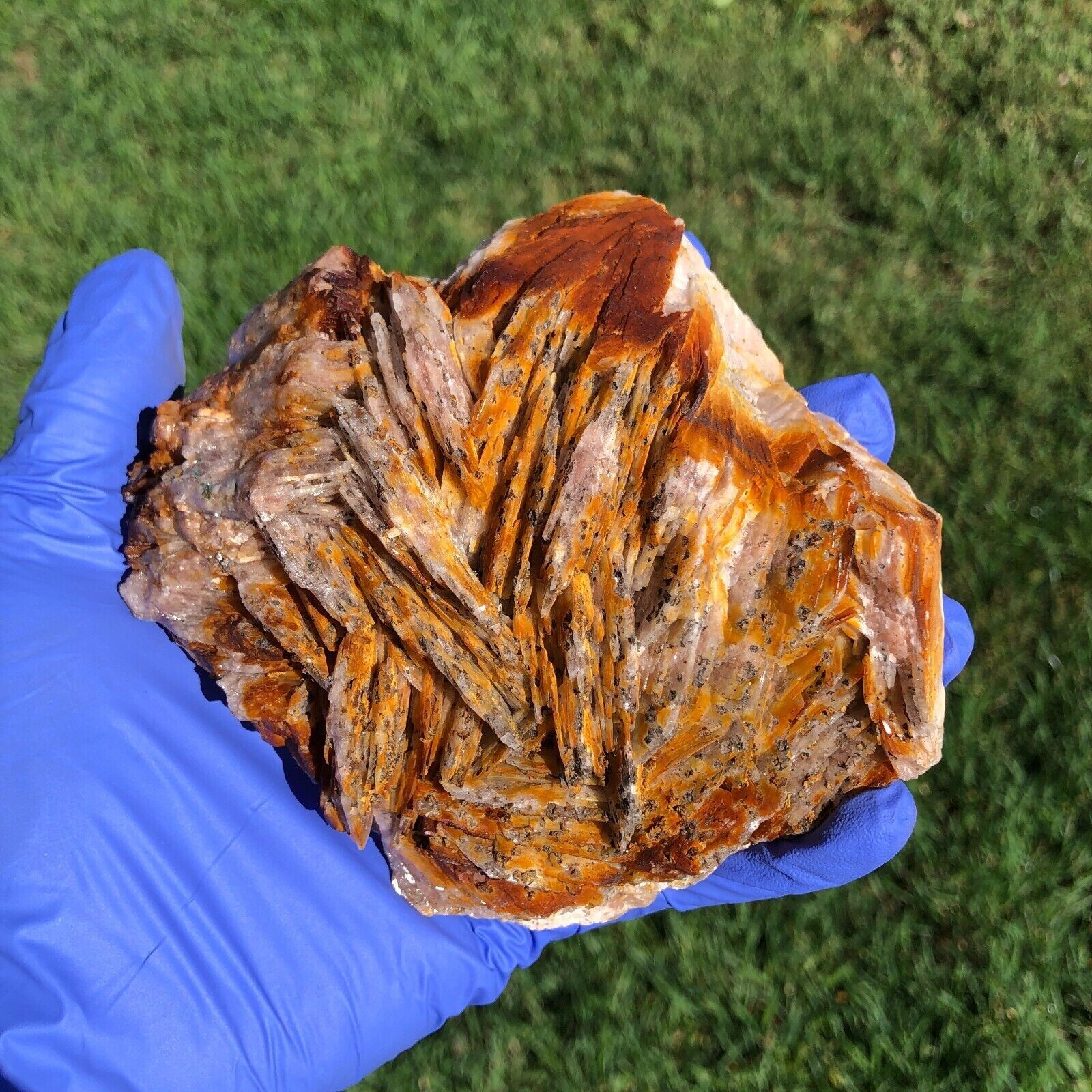 1490g (3.3 lbs) Barite Blade Crystal Cluster Specimen Generator USA