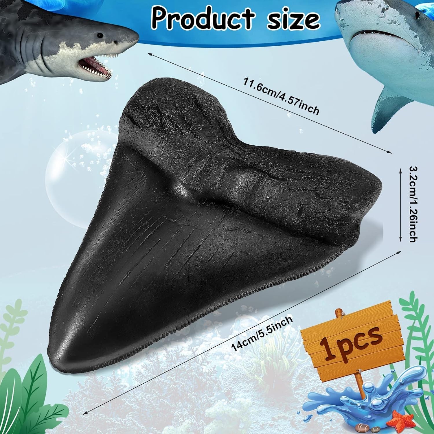 5.5 Inch Megalodon Tooth Black With Serrations – FREE SHIPPING