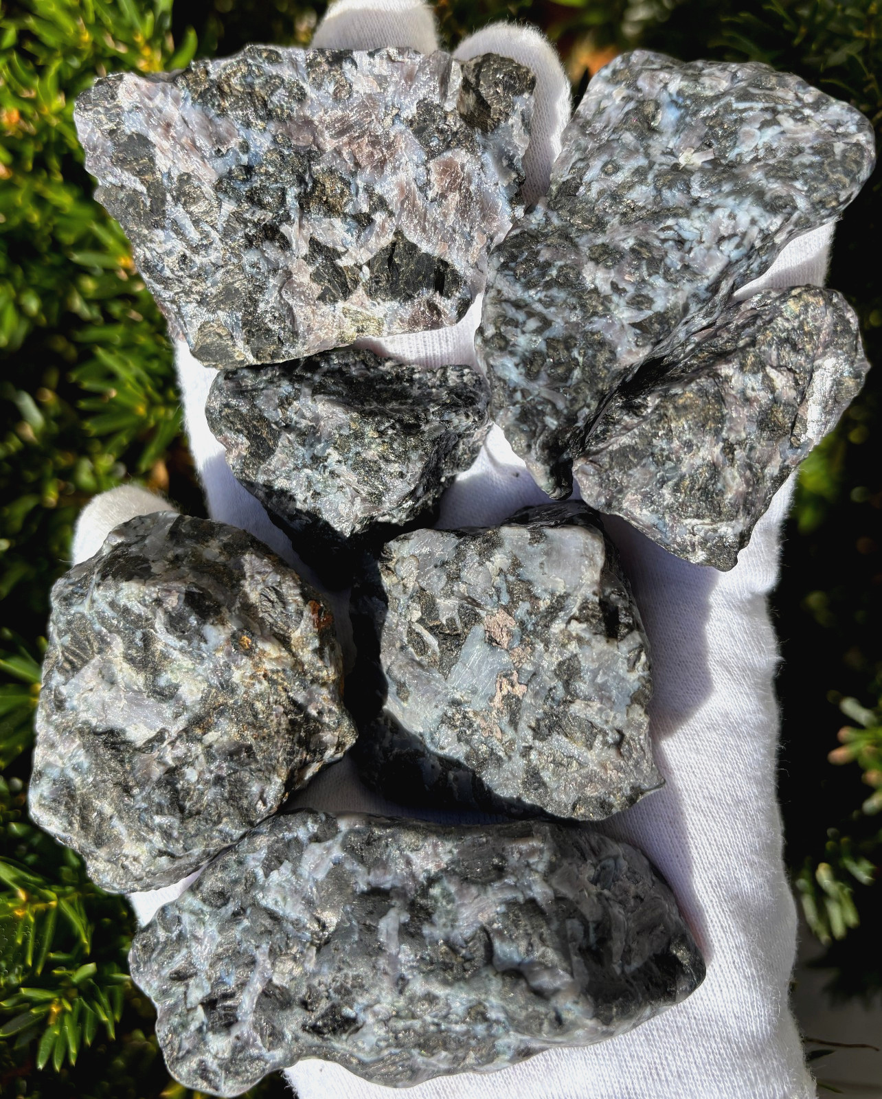 US SALE 414g LOT CHUNKY INDIGO GABBRO MYSTIC MERLINITE ROUGH SPECIMEN SPECIMENS