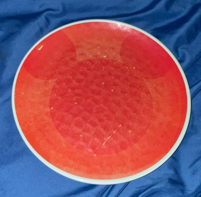 CONTEMPORARY RESORT Original Disney Cast Member Prop ~ Chef Mickey Dinner Plate