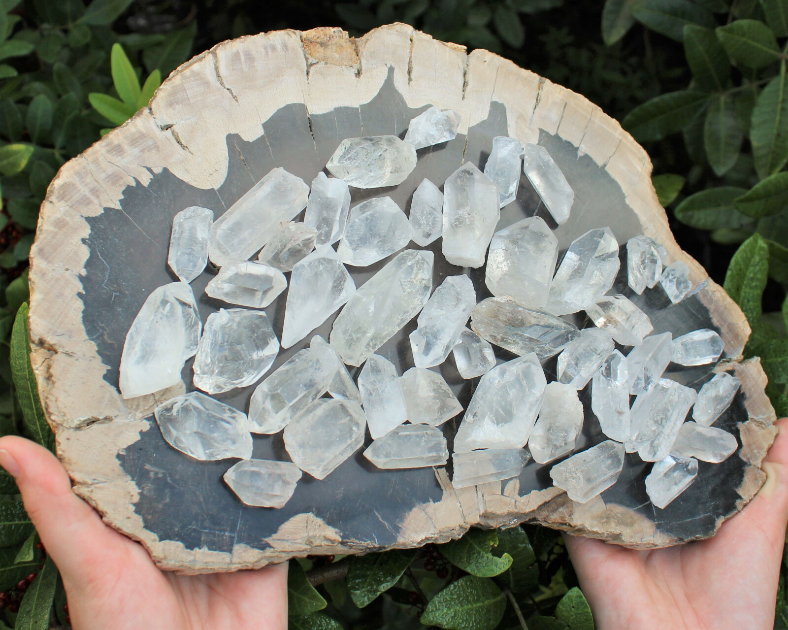 Clear Quartz Crystal Points 1/2 lb Bulk Lot Natural Mineral Wand Specimen (8 oz)