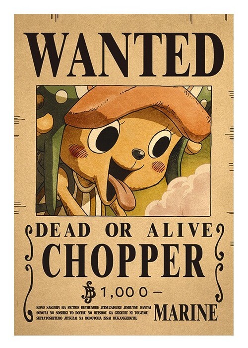 10 x One Piece Luffy Straw Hat Pirates Wanted Poster HIGH QUALIT (16.5″ x 11.5″)