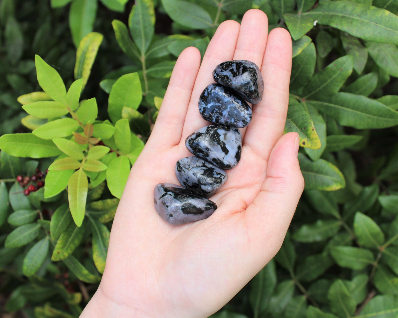 Indigo Gabbro Tumbled Stones Wholesale Bulk Lots (Mystic Merlinite Crystals)