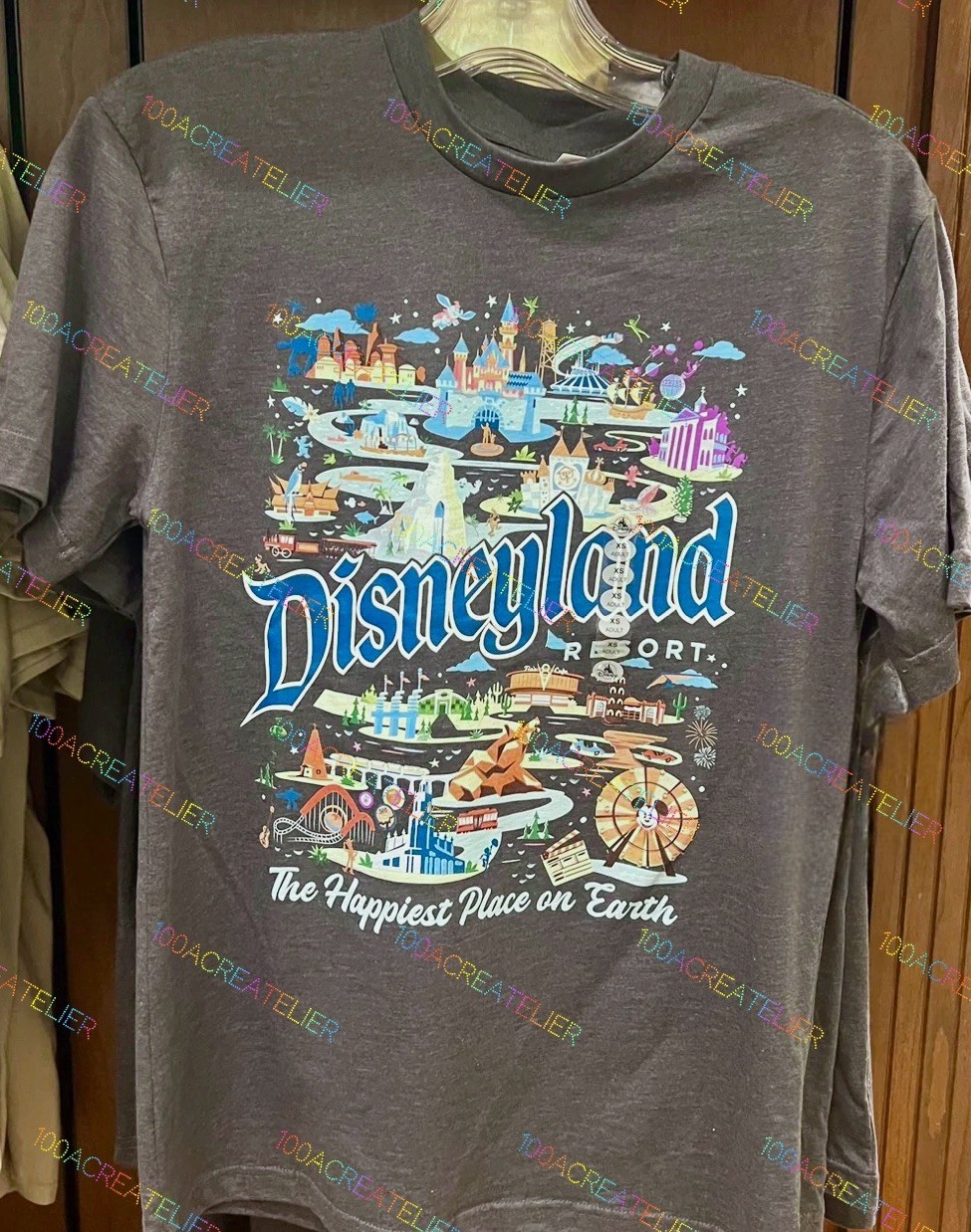 2025 Disney Parks Disneyland Resort Attractions T-Shirt *All Sizes*
