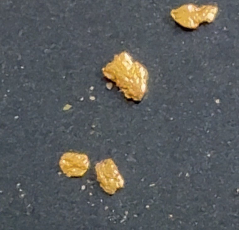 Gold Paydirt Covered Creek FIND .10 GOLD GUARANTEED 2 Pickers, Flour And Flake
