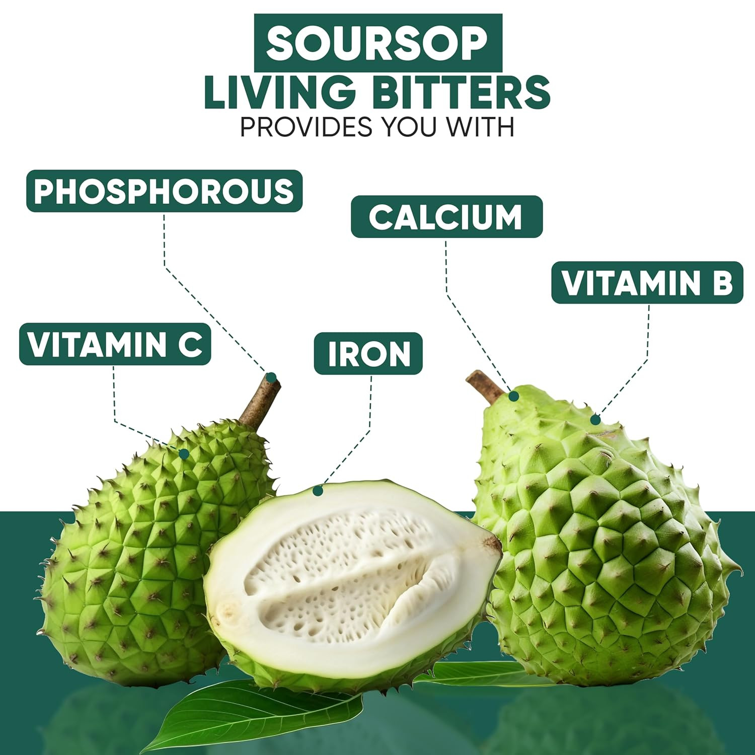 Soursop Bitters | Promotes Overall Health | 8 Oz…