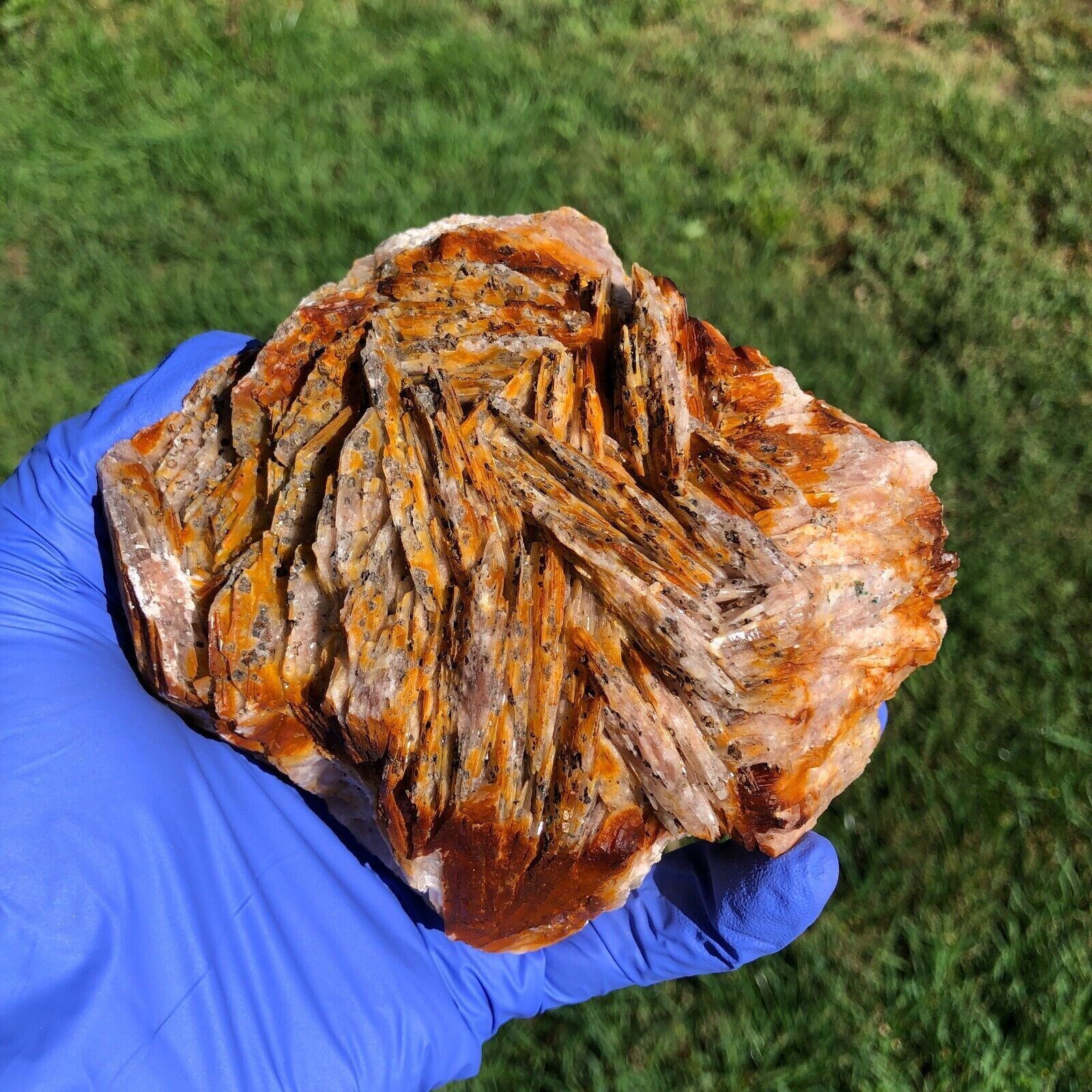 1490g (3.3 lbs) Barite Blade Crystal Cluster Specimen Generator USA