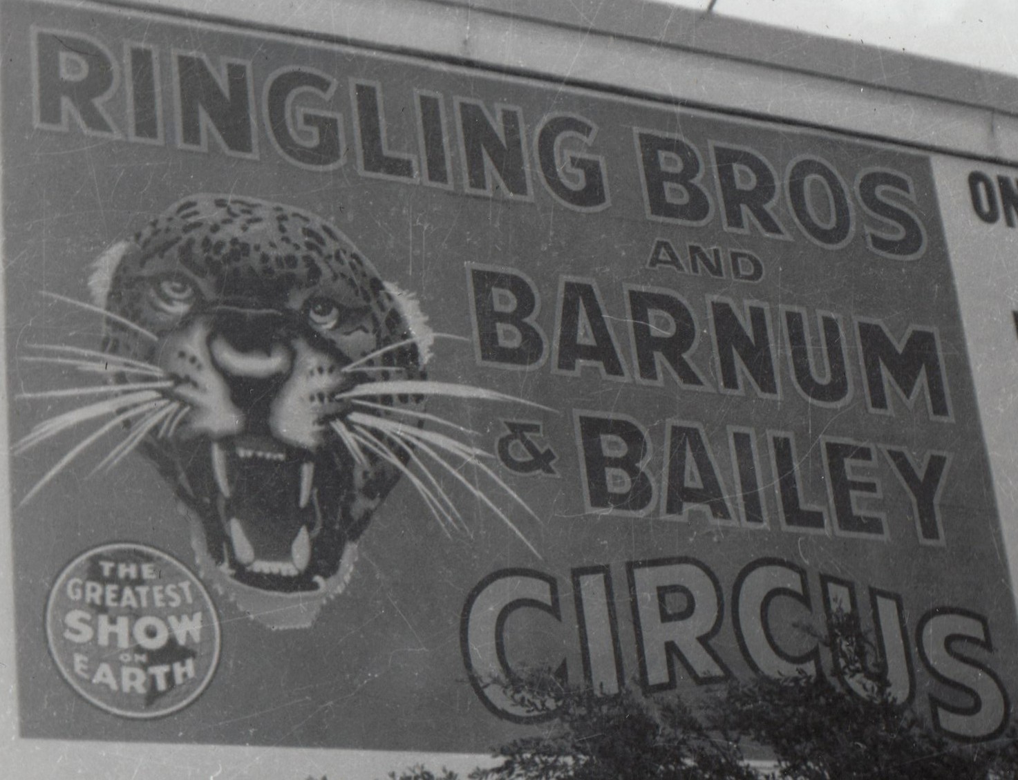 Ringling Bros Barnum & Bailey Circus Billboard Cow Palace Photo c1950s