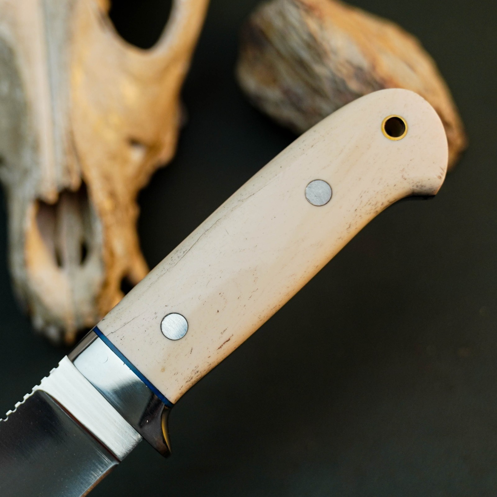 8.2″ D2 EDC Hunting Fixed Blade Knife Full Tang Camel Bone Handle Leather Sheath
