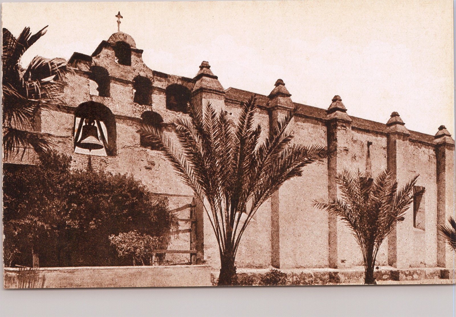 Undivided Back Postcard San Antonio US The Alamo Mission Palms
