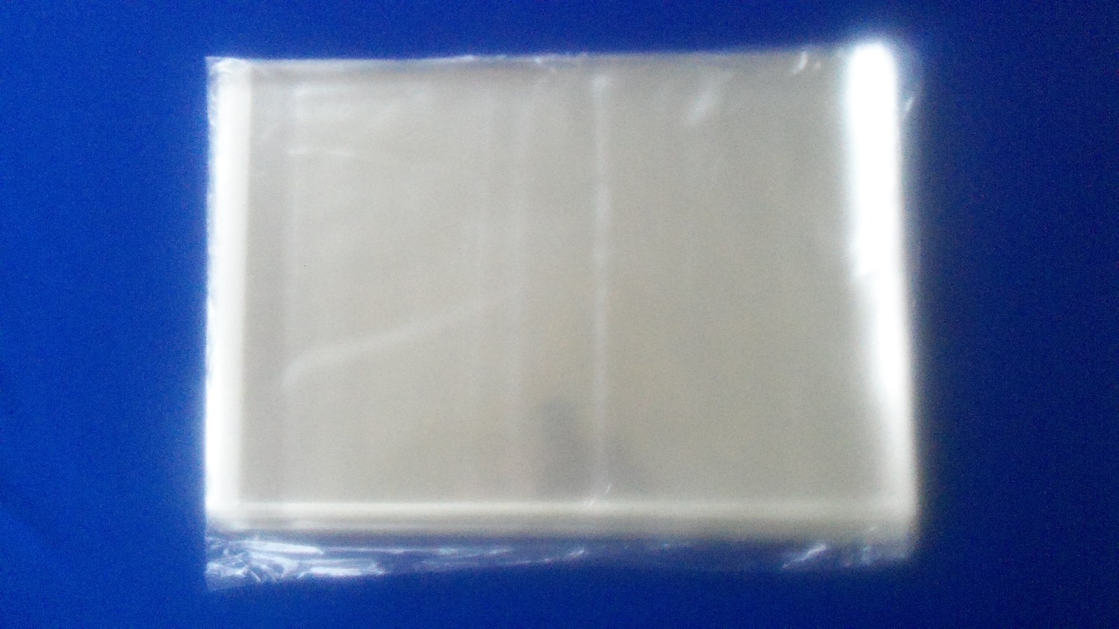 25 Life Large Magazine sleeves Plastic Protection Storage Bags