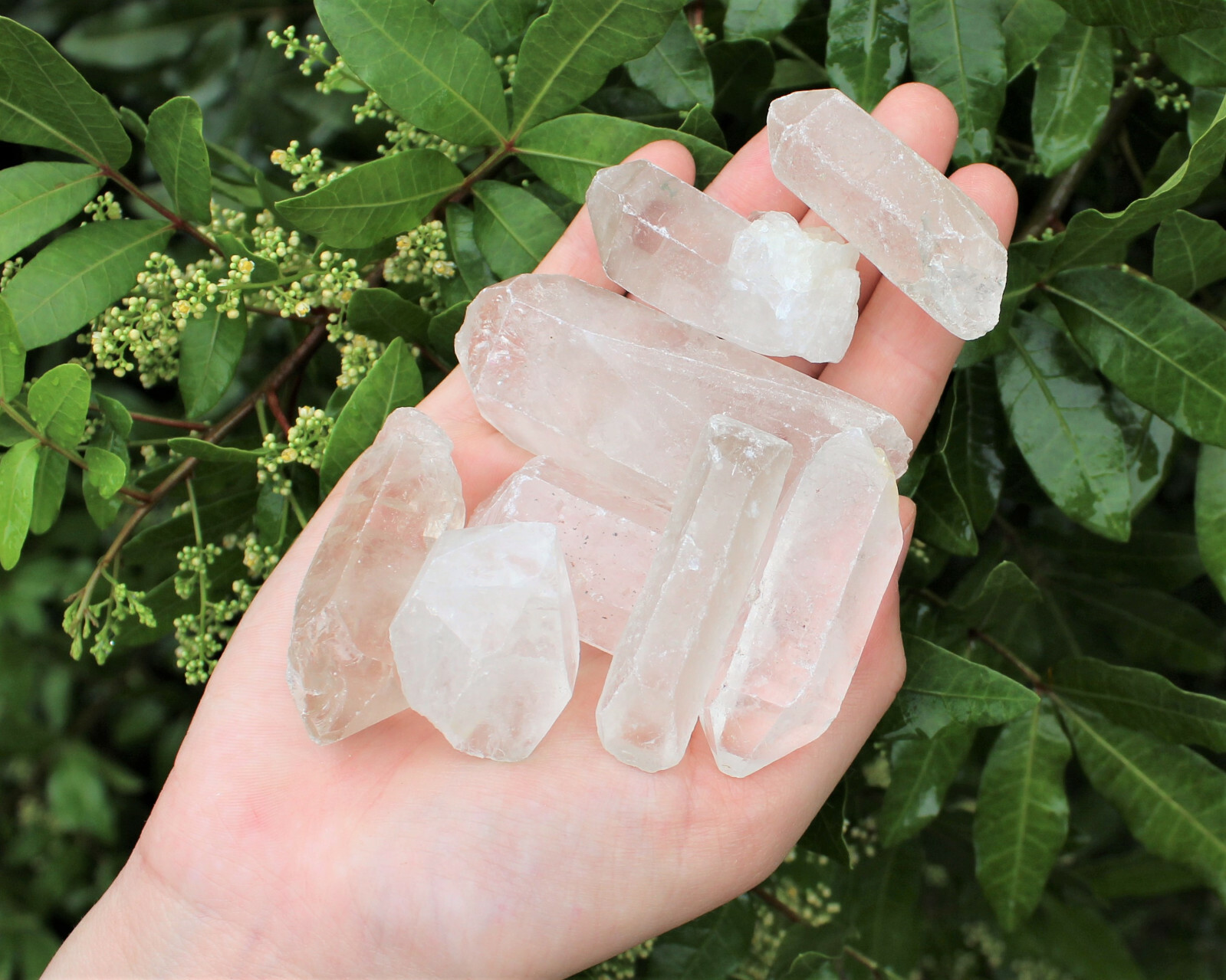 Bulk Wholesale 11 lb Lot CLEARANCE Natural Quartz Crystal Points (GREAT VALUE)