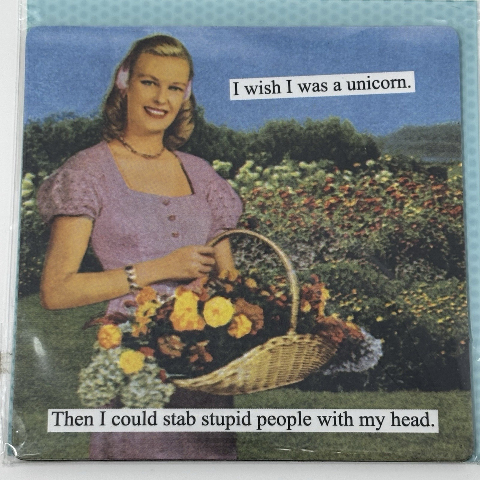 Anne Taintor „I Wish I Was A Unicorn“ Funny Retro Refrigerator Magnet Home New