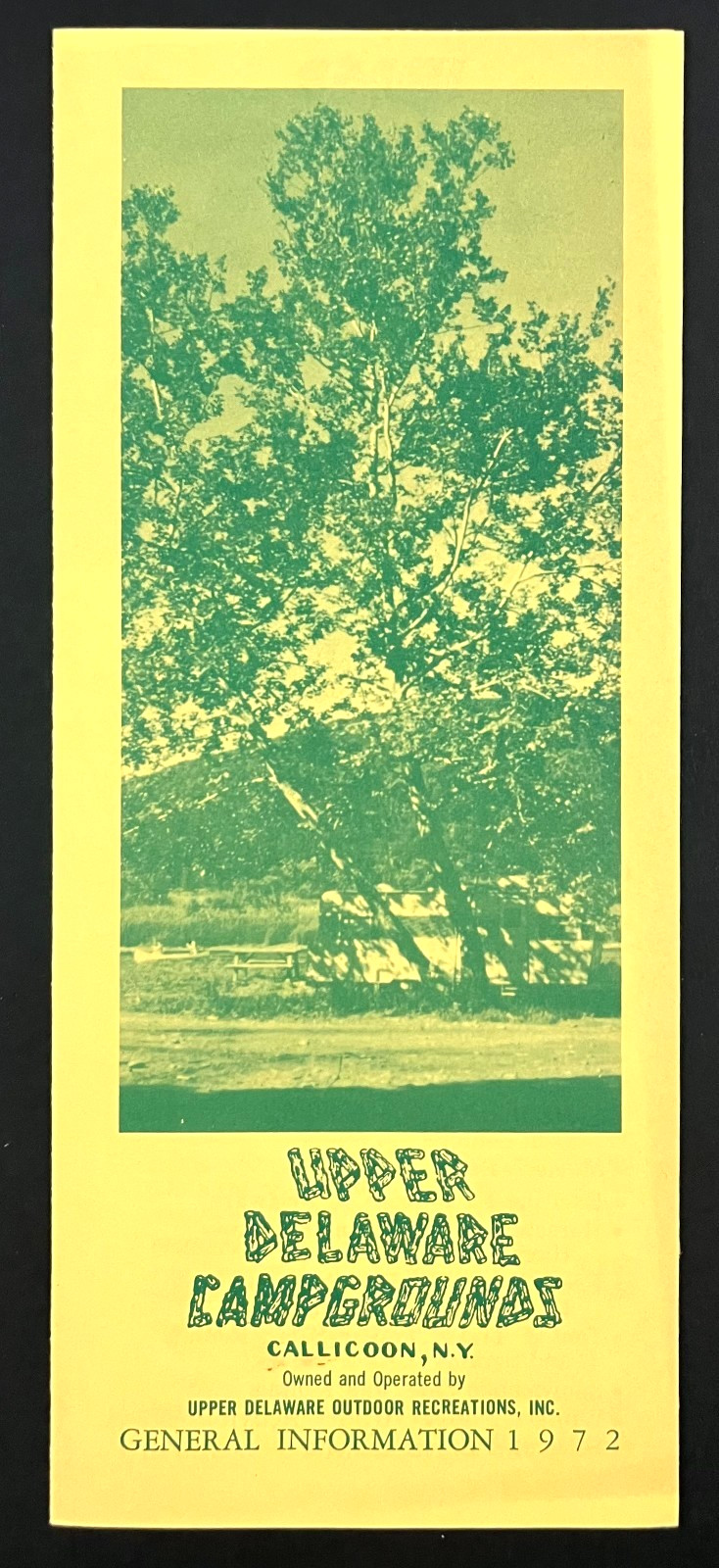 1972 Callicoon New York Upper Delaware Campgrounds Vintage NY Travel Brochure