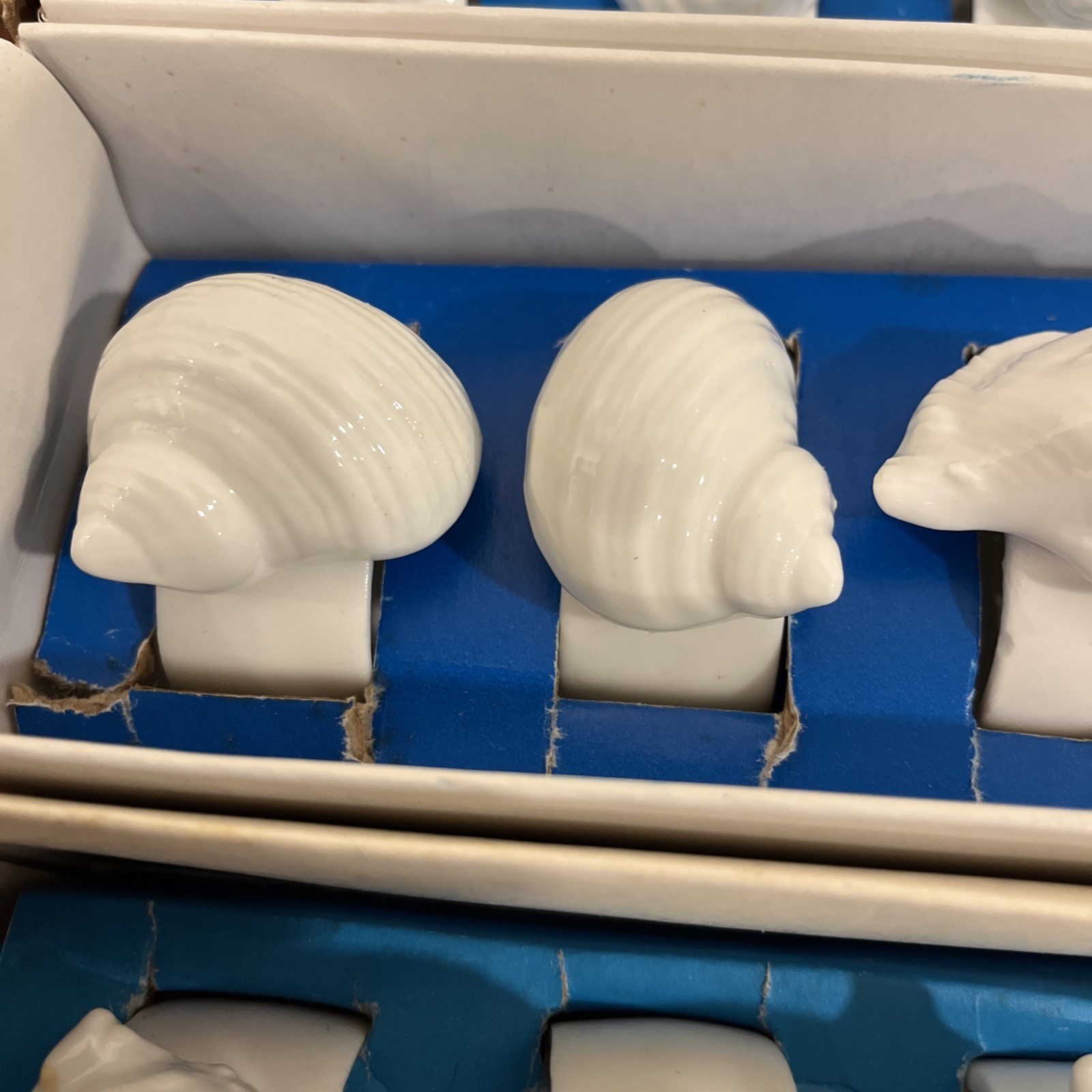 Knobler White Sea Shell Napkin Rings Genuine Bone China Set Of 12In Original Box