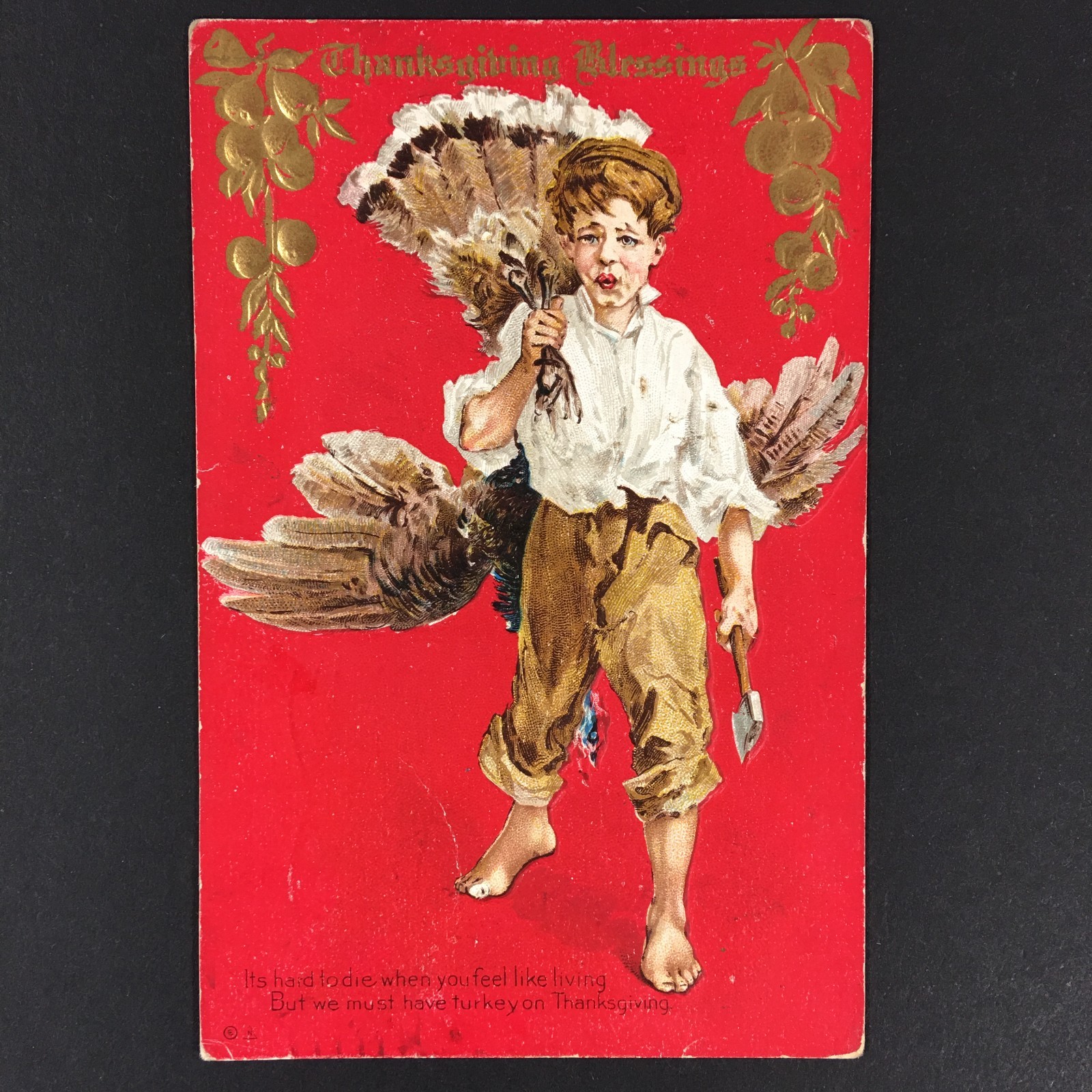 Thanksgiving Blessings Postcard Artist E. Nash Whistling Boy Turkey 1911