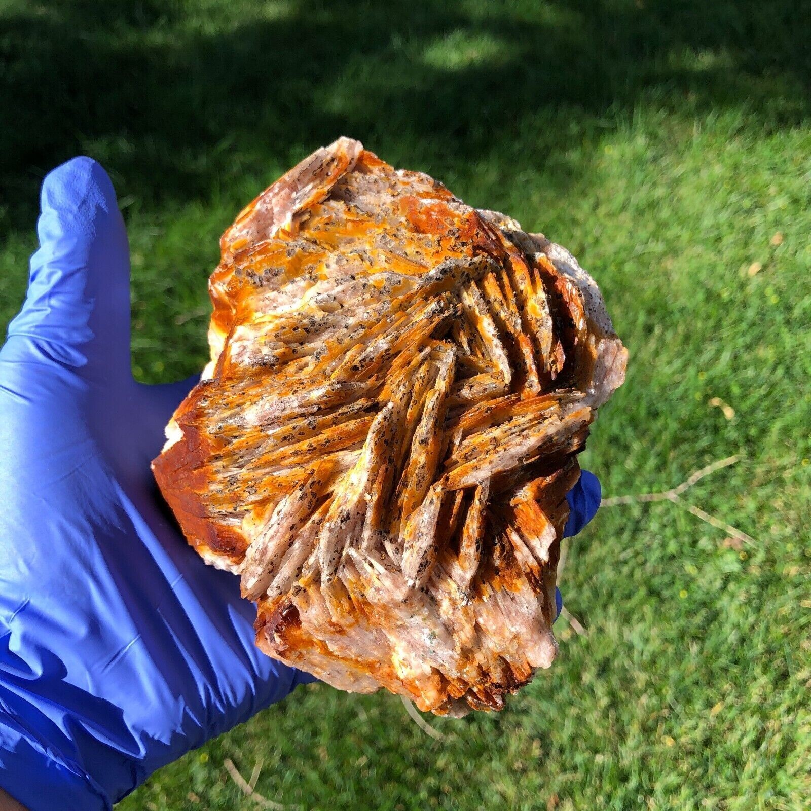 1490g (3.3 lbs) Barite Blade Crystal Cluster Specimen Generator USA
