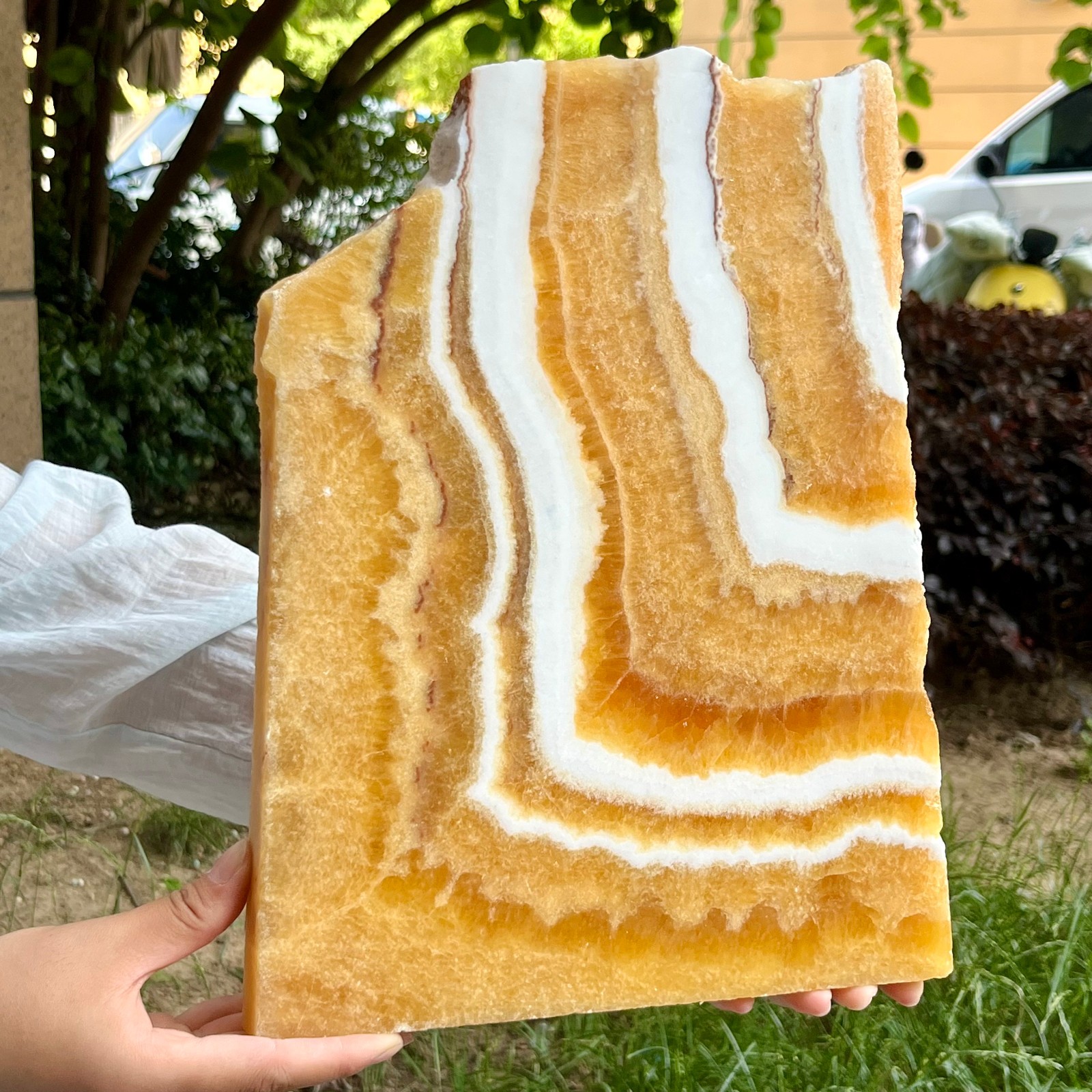 6.2 lb Authentic Yellow Calcite Polished Both Sides Crystal Slice Display