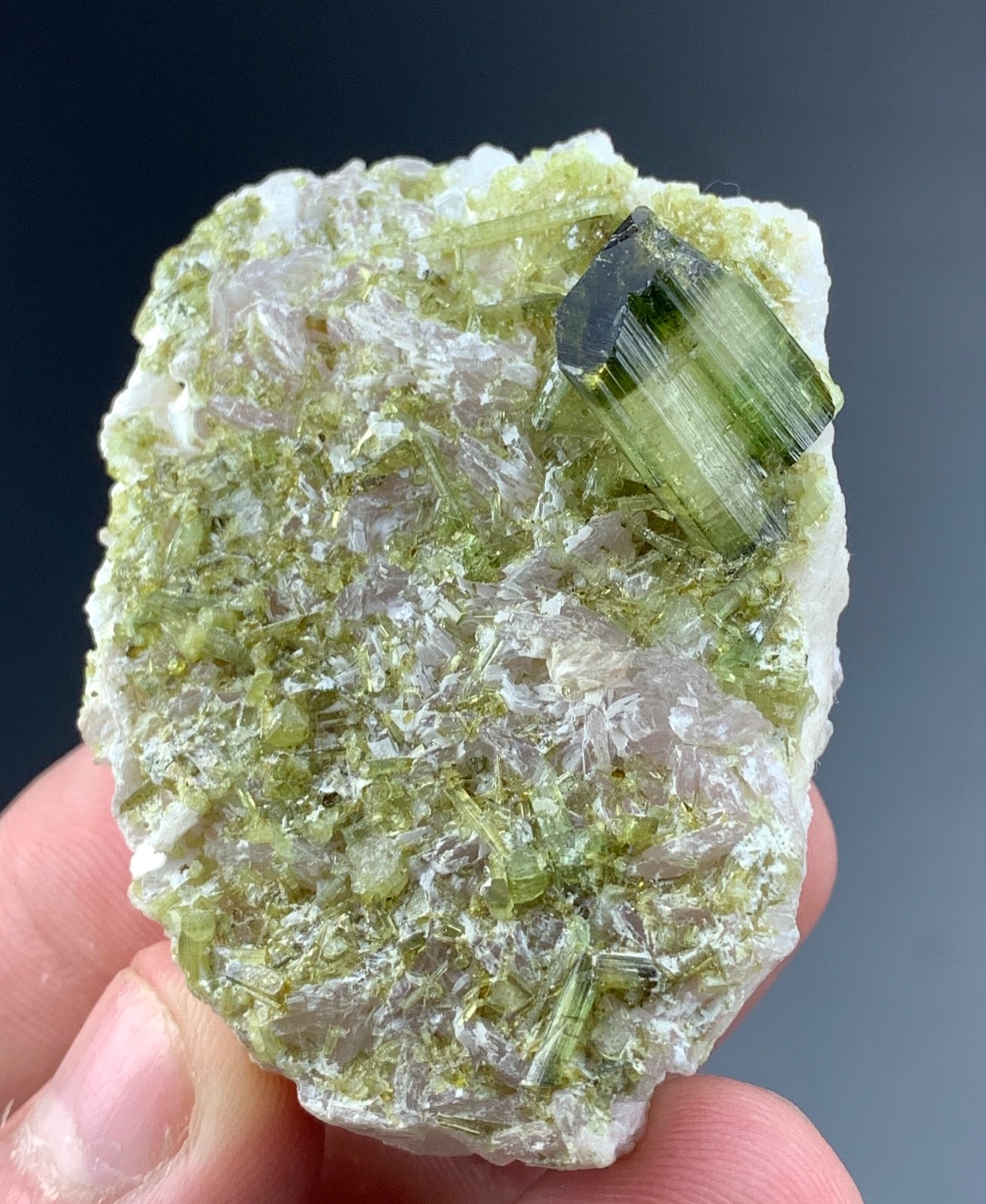 Tourmaline Crystal Specimen From Pakistan 350 Carat