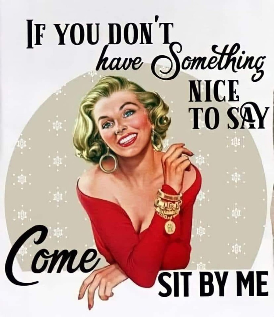 retro If you don’t have something nice to say Metal Magnet 4 x 4 inches 080