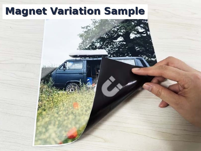 Mike Tyson Iron Mike Boxing Legend Everybody Has A Plan Quote Photo Reprint