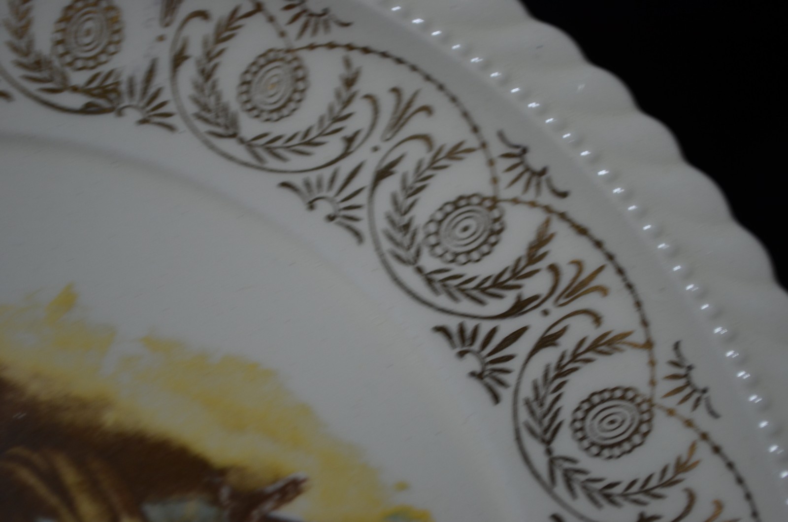 Vintage Concorde China Turkey Dinner Plate Gold Tone border Thanksgiving Qty 1