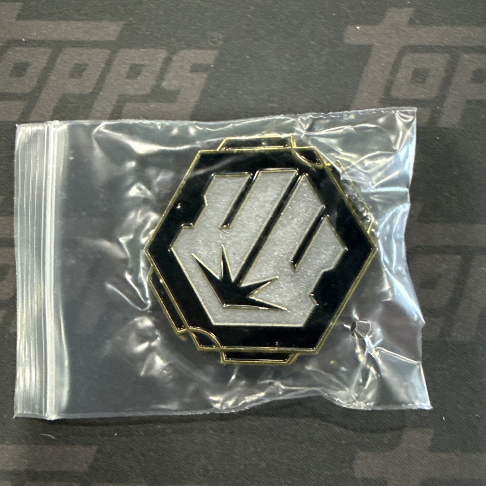 Lorcana Unknown Wilds Pin