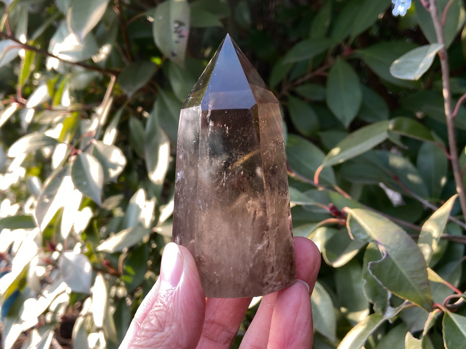 0.33LB TOP! Natural smoky quartz obelisk crystal wand point tower reiki healing