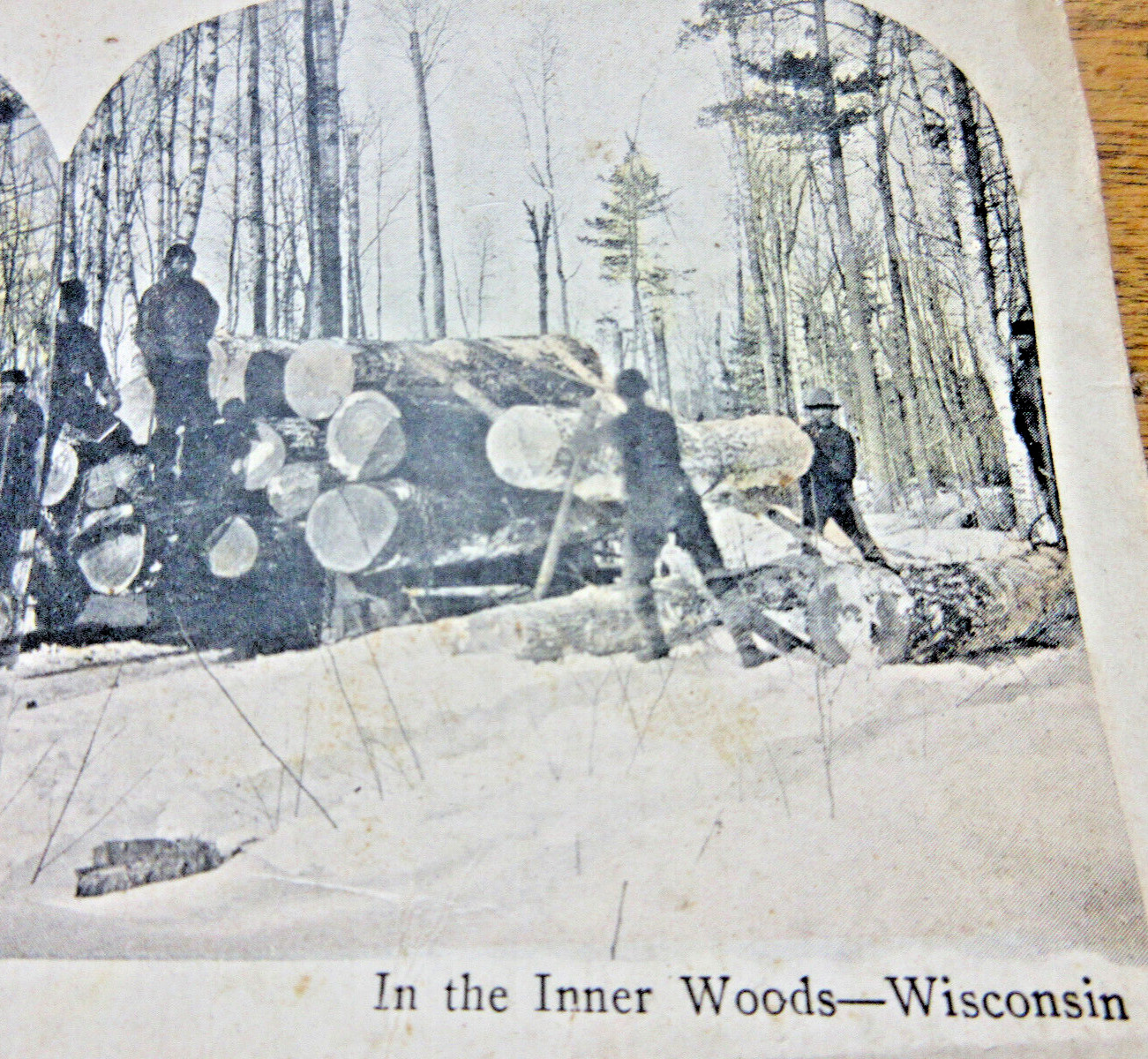 Stereoscope Stereo View Card Lumberjacks Woods Of Wisconsin+ DELLS and a Dog#13
