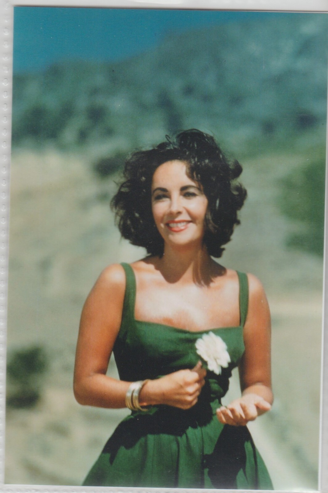Fridge/Locker /Tool Box Magnet – Elizabeth Taylor #000