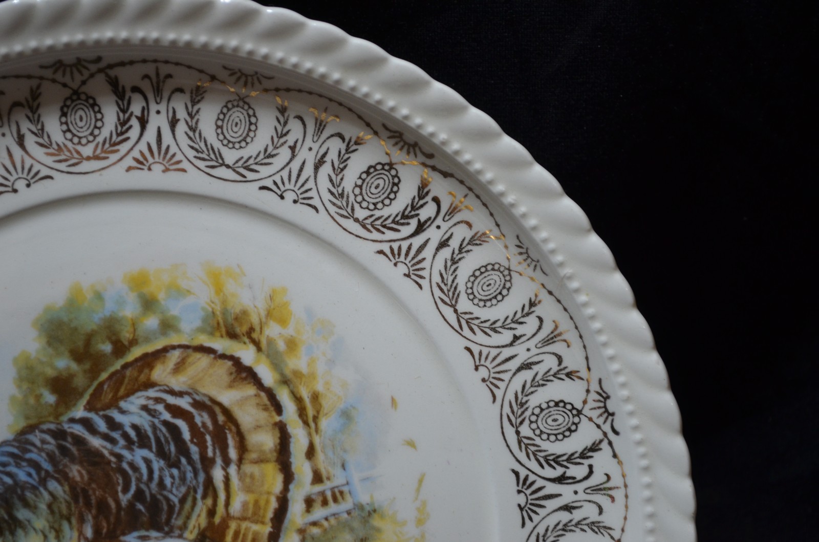Vintage Concorde China Turkey Dinner Plate Gold Tone border Thanksgiving Qty 1
