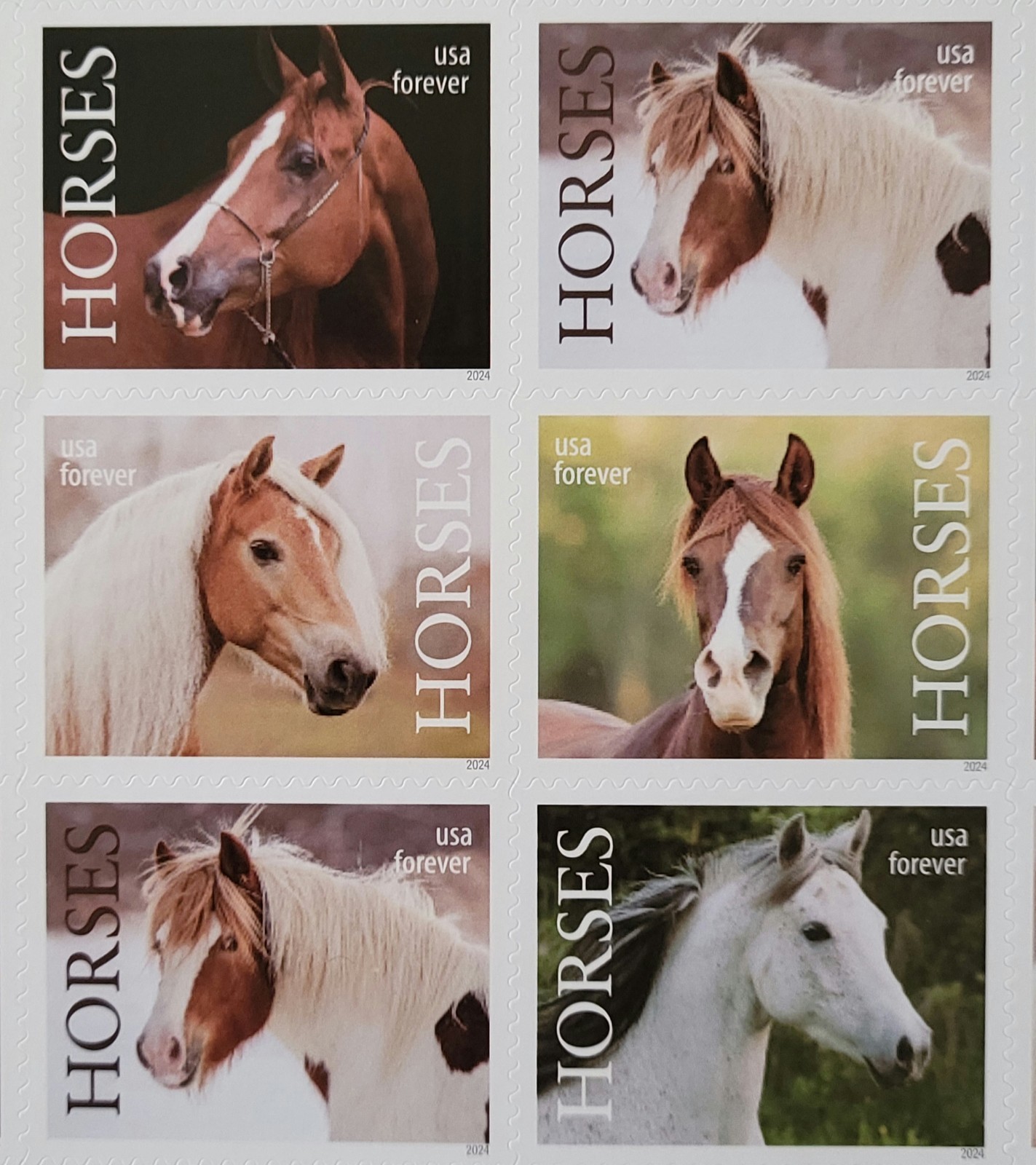 2024 USPS Horses Postage Stamps Sheet of 20 First Class Letter