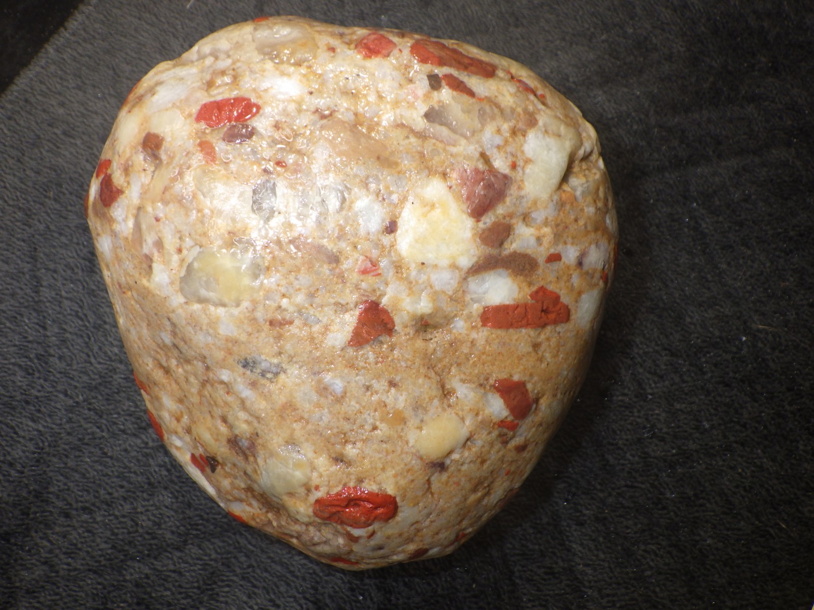 Pudding Stone 3 lbs 12.0 oz