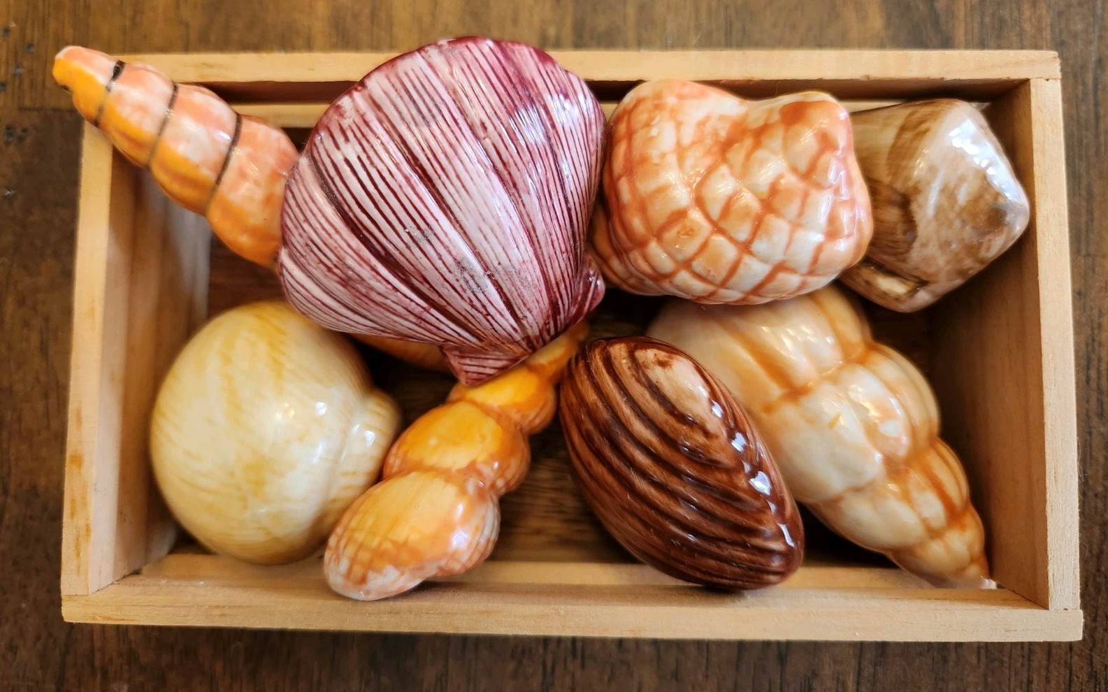 Painted Sea Shells 2 to 3 Inches Ceramic Ocean Beach Decor Set Of 8 with Crate A