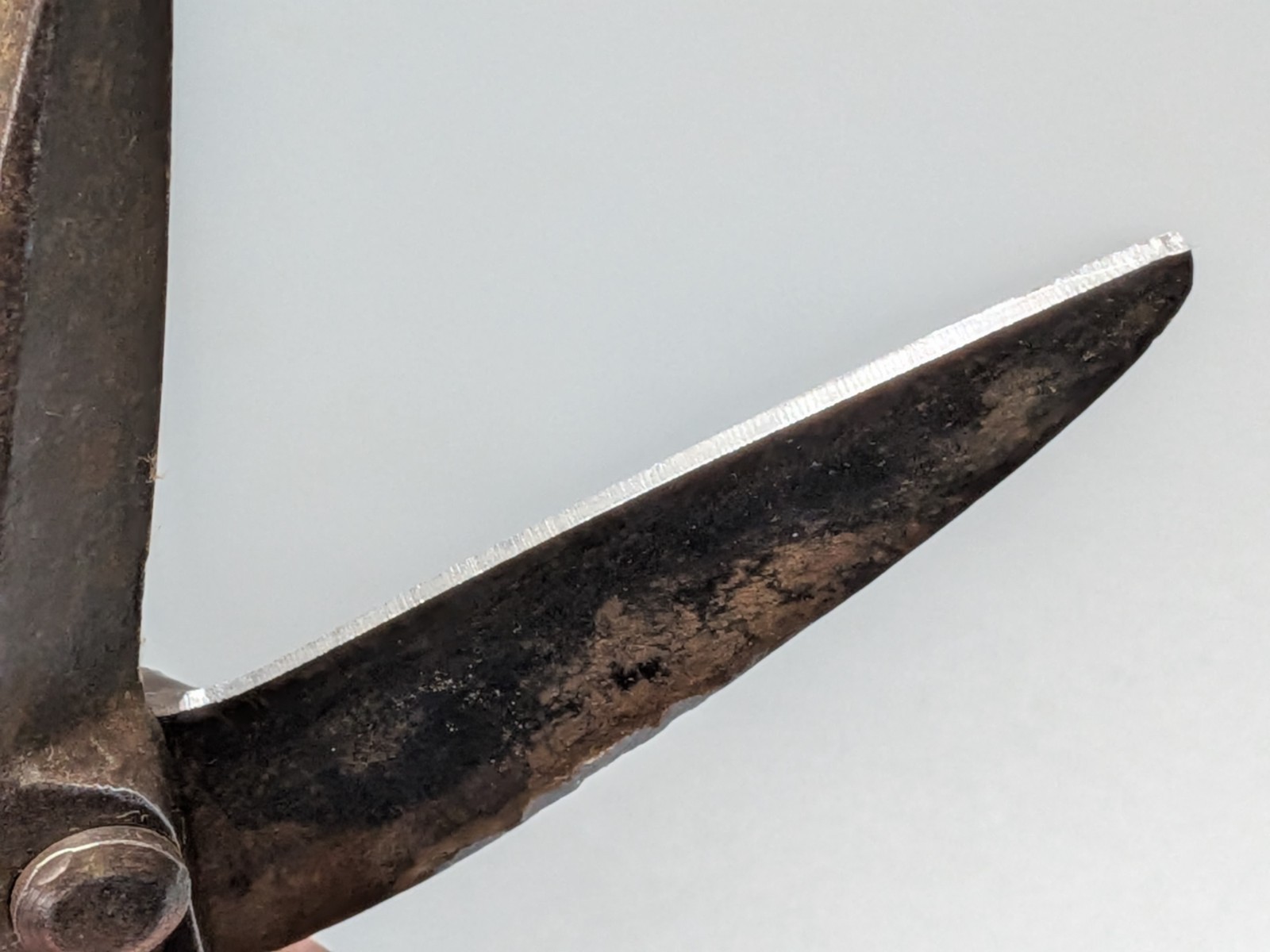 Vintage BERLIN 14″ No. 48 Tin Shears Snips 3″ Straight Cut