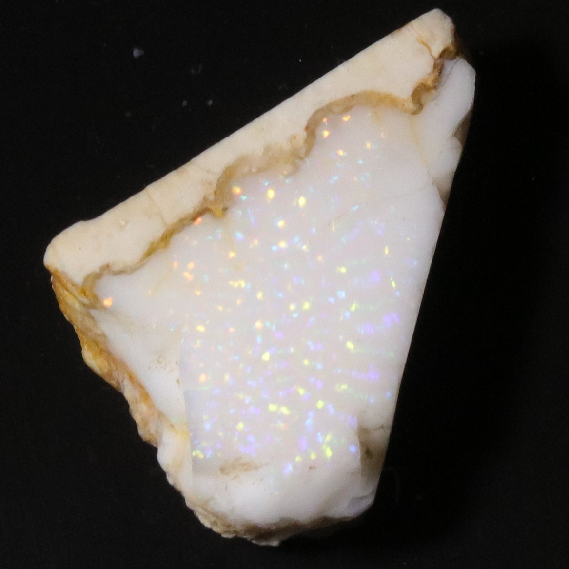 29 ct Spencer Idaho Opal – Multi-color Pinfire Seam – Natural Matrix Rub