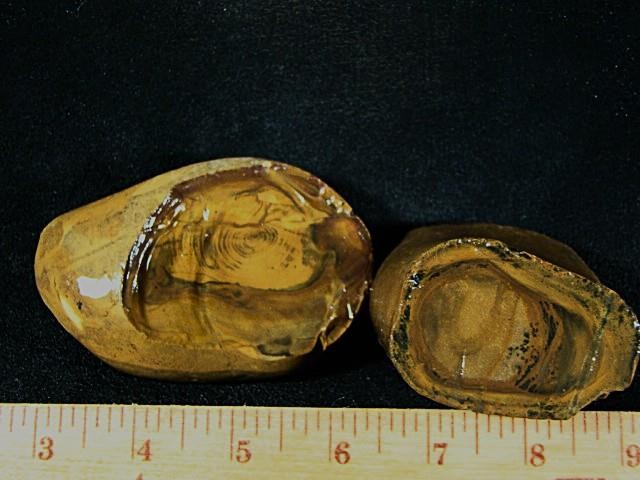 Royal Sahara Jasper® 2 Pc. Rough Nodules 2 Lbs. ~ # 13