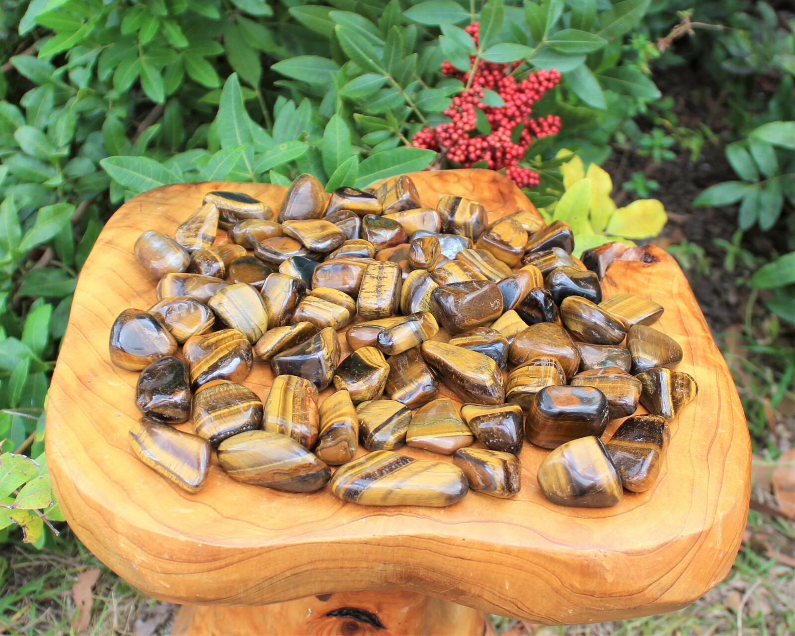 1/2 lb Bulk Lot Large Gold Tiger Eye Tumbled Stone Crystal Healing Reiki 8 oz