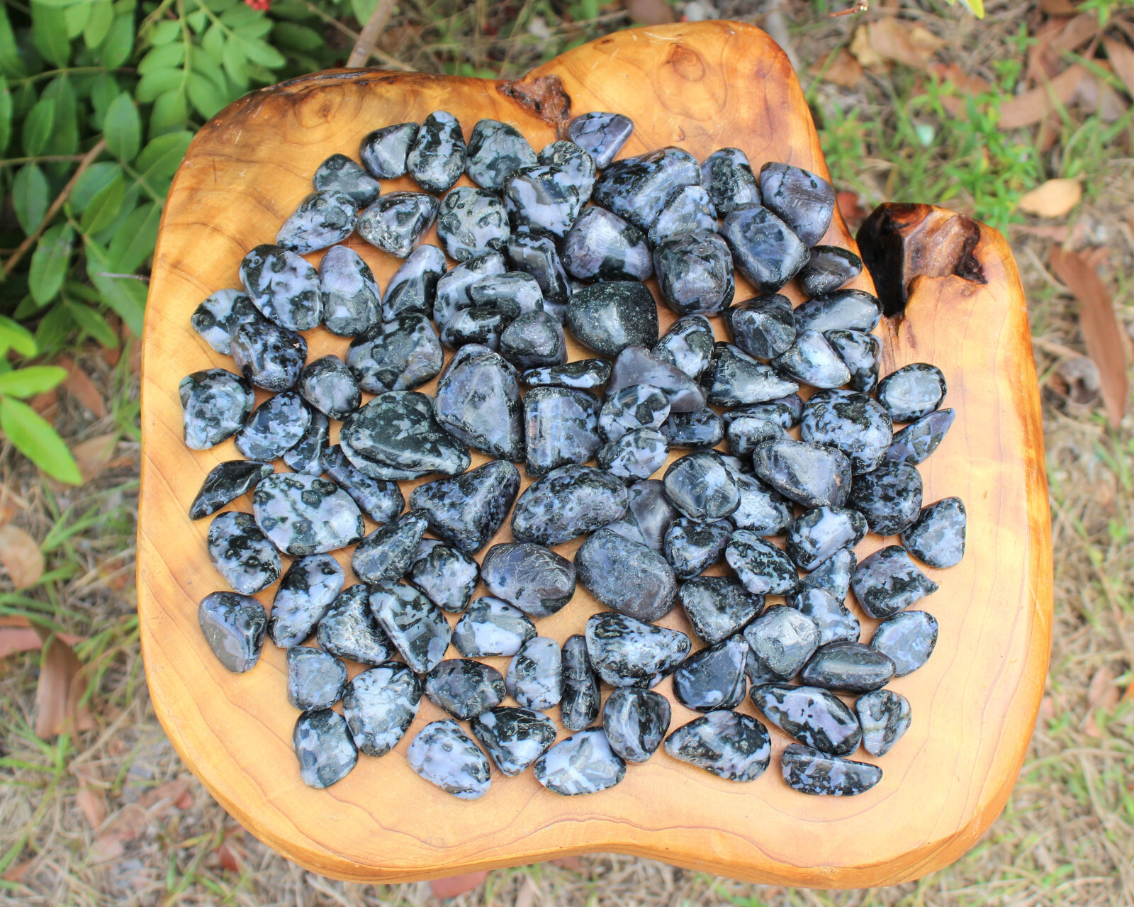 Indigo Gabbro Tumbled Stones Wholesale Bulk Lots (Mystic Merlinite Crystals)